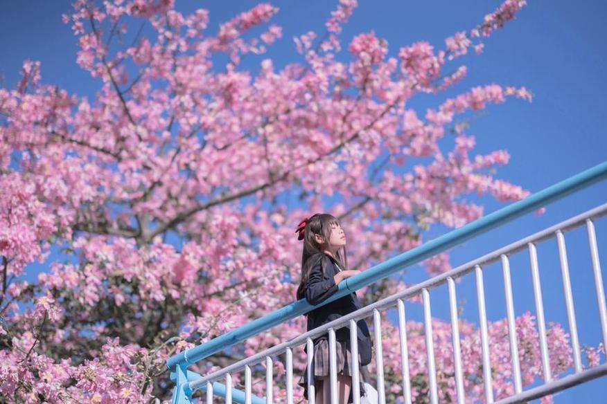 古风美图欣赏——萌芽儿o0汉服篇