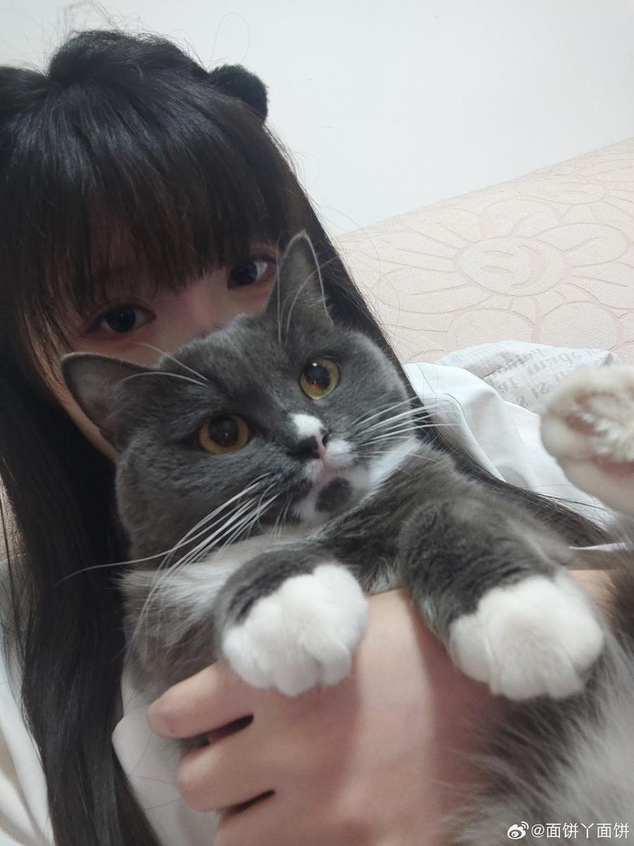 《面饼仙儿合集》中的每一个画面，都值得你静下心来欣赏